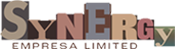 Synergy Empresa Limited